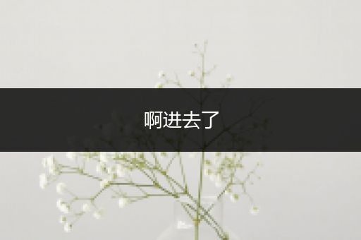 啊进去了