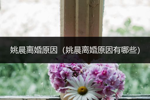 姚晨离婚原因(姚晨离婚原因有哪些)