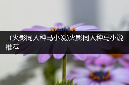(火影同人种马小说)火影同人种马小说推荐