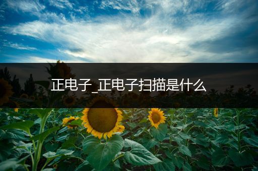 正电子_正电子扫描是什么