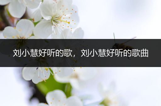 刘小慧好听的歌,刘小慧好听的歌曲