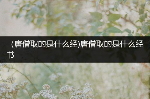 (唐僧取的是什么经)唐僧取的是什么经书