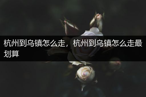 杭州到乌镇怎么走,杭州到乌镇怎么走最划算