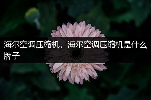 海尔空调压缩机,海尔空调压缩机是什么牌子