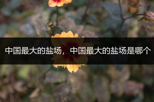 中国最大的盐场,中国最大的盐场是哪个