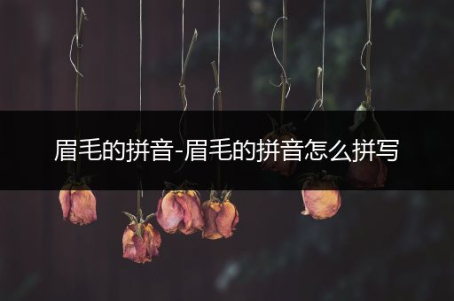 眉毛的拼音-眉毛的拼音怎么拼写