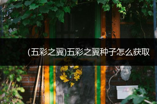 (五彩之翼)五彩之翼种子怎么获取