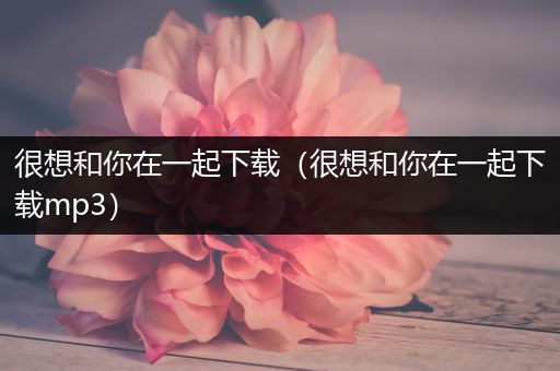 很想和你在一起下载(很想和你在一起下载mp3)