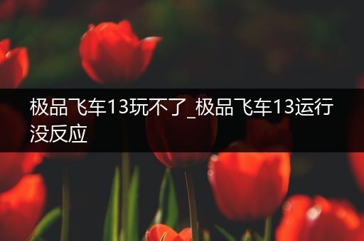 极品飞车13玩不了_极品飞车13运行没反应