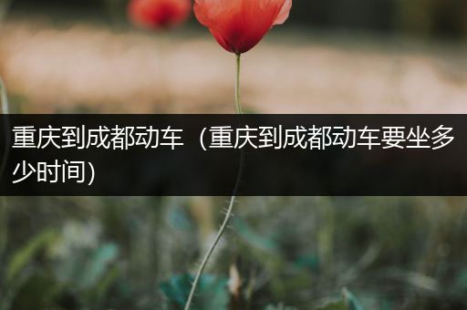 重庆到成都动车(重庆到成都动车要坐多少时间)