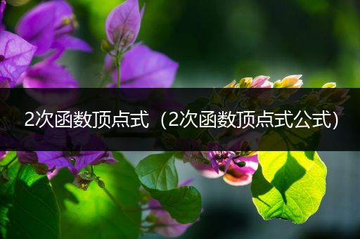 2次函数顶点式（2次函数顶点式公式）