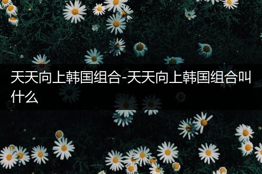天天向上韩国组合-天天向上韩国组合叫什么