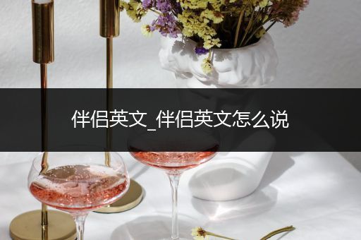 伴侣英文_伴侣英文怎么说