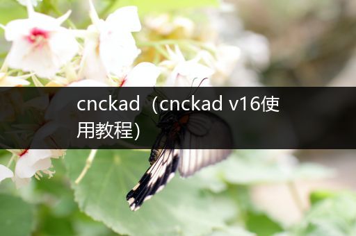 cnckad（cnckad v16使用教程）