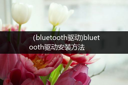 (bluetooth驱动)bluetooth驱动安装方法