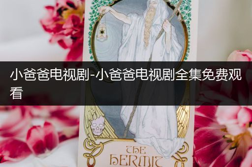 小爸爸电视剧-小爸爸电视剧全集免费观看