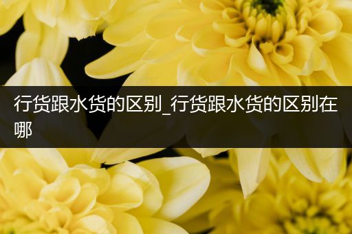 行货跟水货的区别_行货跟水货的区别在哪