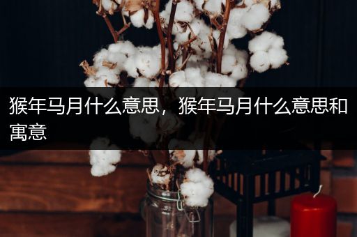 猴年马月什么意思,猴年马月什么意思和寓意