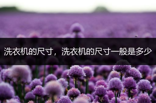 洗衣机的尺寸，洗衣机的尺寸一般是多少