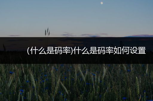 （什么是码率)什么是码率如何设置