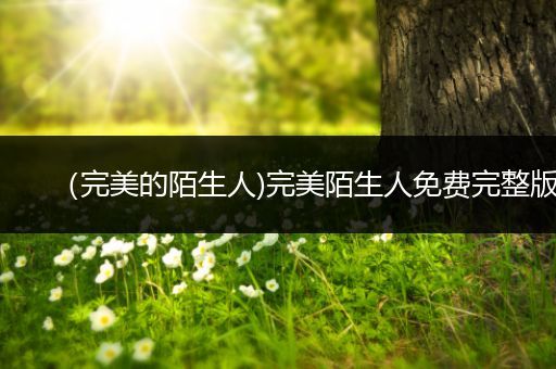 （完美的陌生人)完美陌生人免费完整版