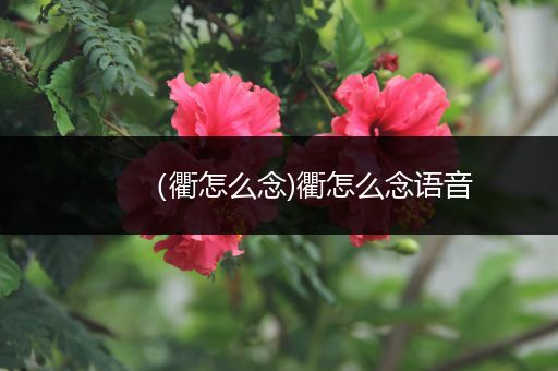 （衢怎么念)衢怎么念语音