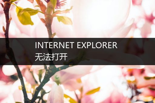 INTERNET EXPLORER 无法打开