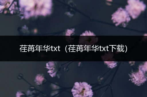 荏苒年华txt（荏苒年华txt下载）