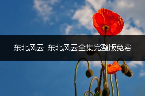 东北风云_东北风云全集完整版免费