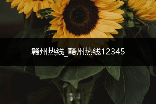 赣州热线_赣州热线12345