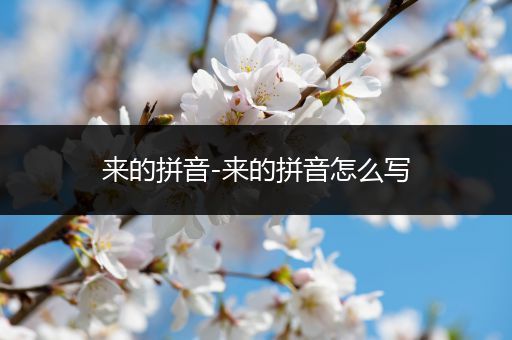 来的拼音-来的拼音怎么写