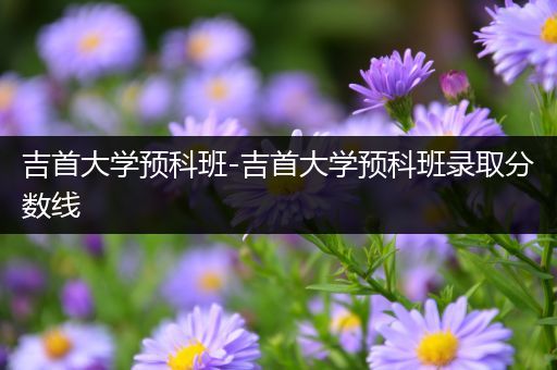 吉首大学预科班-吉首大学预科班录取分数线