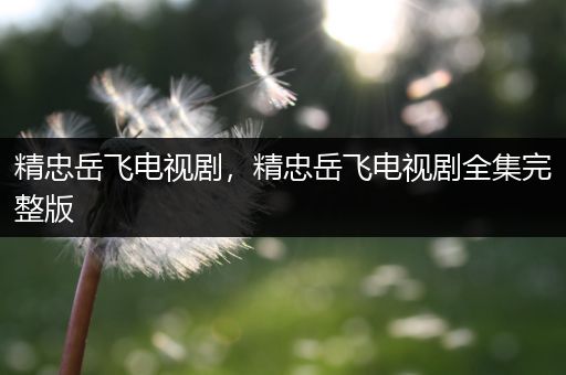 精忠岳飞电视剧，精忠岳飞电视剧全集完整版