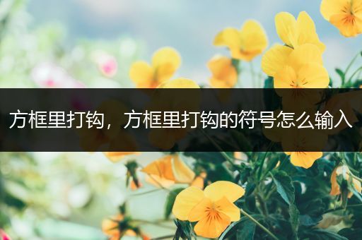 方框里打钩，方框里打钩的符号怎么输入