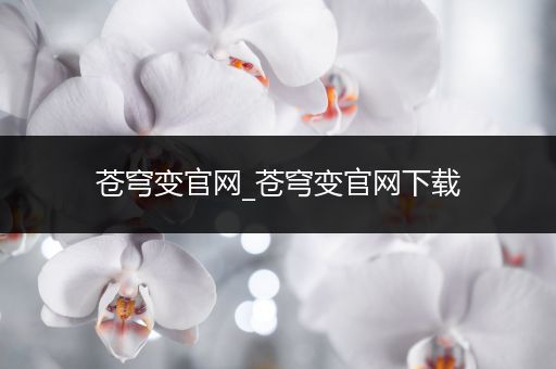 苍穹变官网_苍穹变官网下载