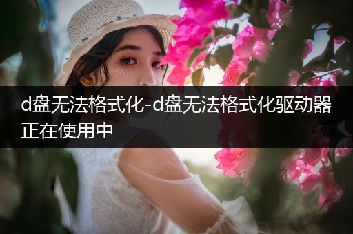 d盘无法格式化-d盘无法格式化驱动器正在使用中