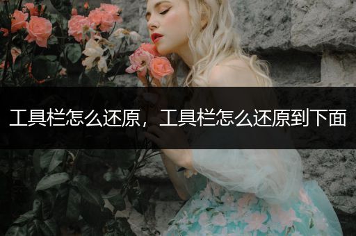 工具栏怎么还原，工具栏怎么还原到下面