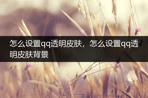 怎么设置qq透明皮肤，怎么设置qq透明皮肤背景
