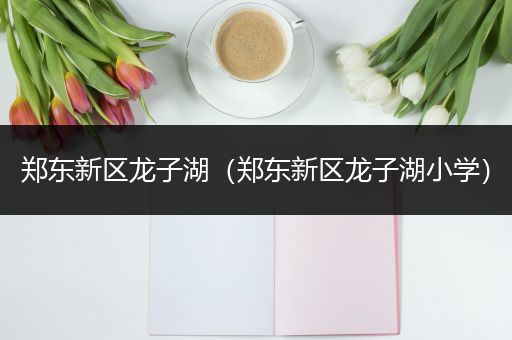 郑东新区龙子湖（郑东新区龙子湖小学）