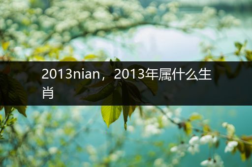2013nian，2013年属什么生肖