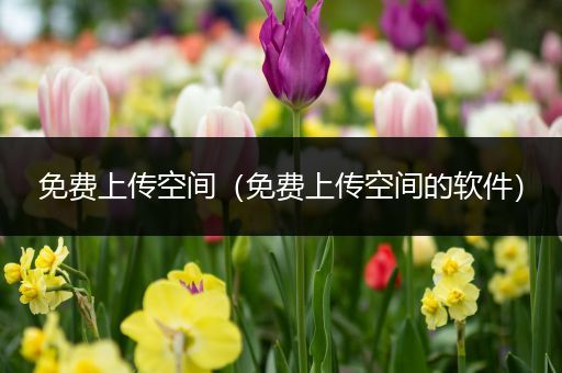 免费上传空间（免费上传空间的软件）