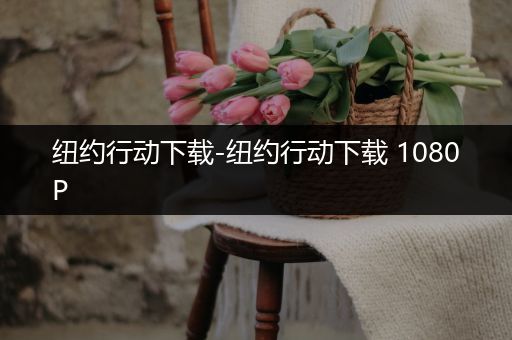 纽约行动下载-纽约行动下载 1080P