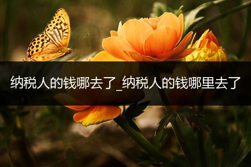 纳税人的钱哪去了_纳税人的钱哪里去了