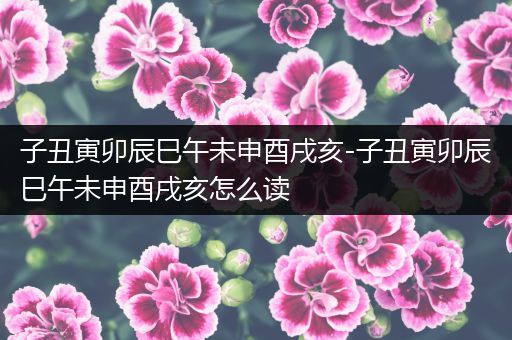 子丑寅卯辰巳午未申酉戌亥-子丑寅卯辰巳午未申酉戌亥怎么读