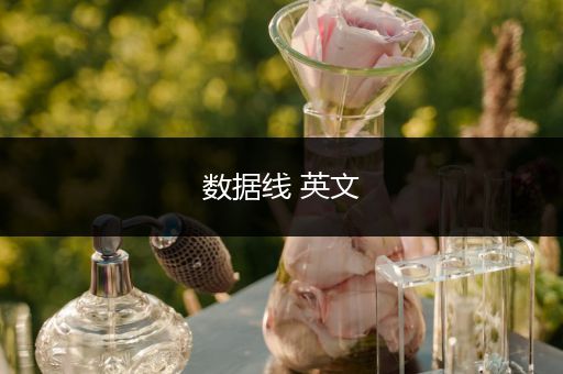 数据线 英文