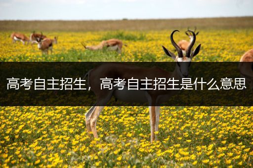 高考自主招生，高考自主招生是什么意思
