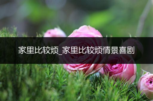 家里比较烦_家里比较烦情景喜剧