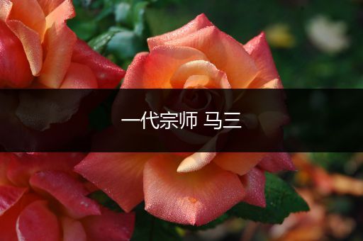 一代宗师 马三