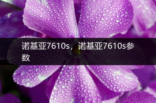 诺基亚7610s,诺基亚7610s参数