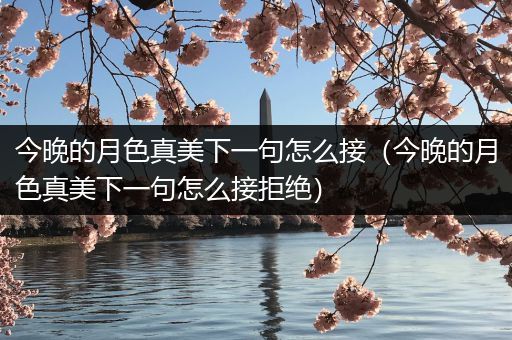 今晚的月色真美下一句怎么接(今晚的月色真美下一句怎么接拒绝)